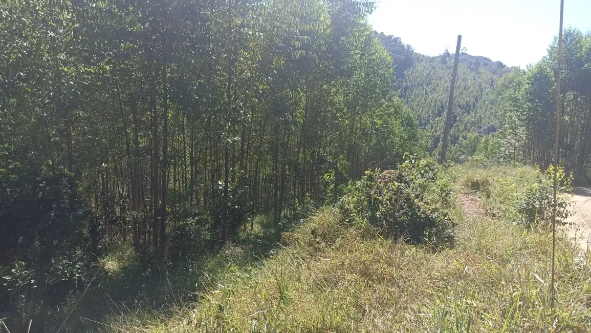 Sítio / Rancho com 1 quarto à venda, 200m2 em Paraibuna - SP - imagem 8 Foto 8 de Sítio / Rancho com 1 quarto à venda, 200m2 em Paraibuna - SP