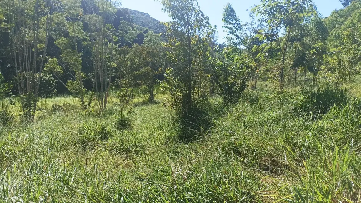 Sítio / Rancho com 1 quarto à venda, 200m2 em Paraibuna - SP - imagem 1 Foto 1 de Sítio / Rancho com 1 quarto à venda, 200m2 em Paraibuna - SP