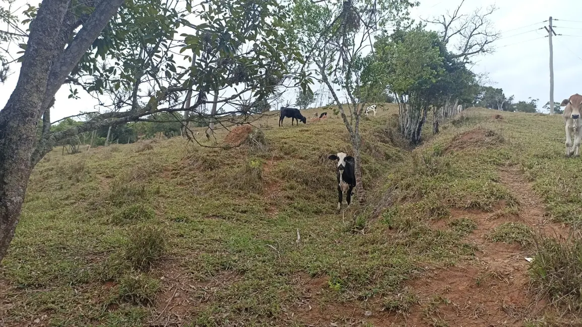 Sítio / Rancho com 3 quartos à venda, 300m2 em Paraibuna - SP - imagem 3 Foto 3 de Sítio / Rancho com 3 quartos à venda, 300m2 em Paraibuna - SP
