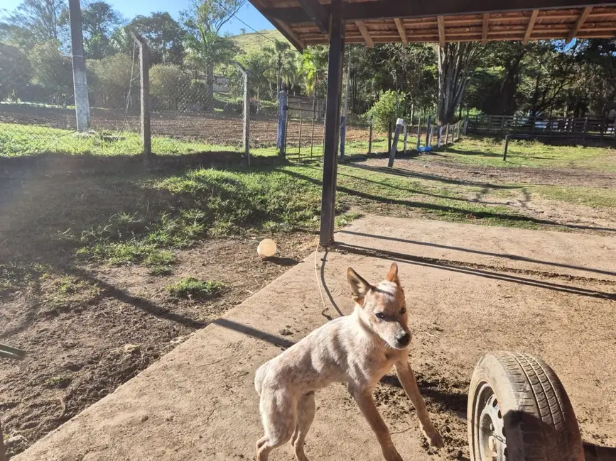 Sítio / Rancho com 3 quartos à venda, 200m2 em Sao Jose Dos Campos - SP - imagem 9 Foto 9 de Sítio / Rancho com 3 quartos à venda, 200m2 em Sao Jose Dos Campos - SP