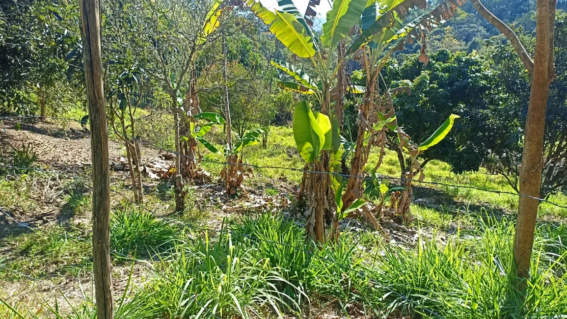 Sítio / Rancho com 3 quartos à venda, 500m2 em Paraibuna - SP - imagem 5 Foto 5 de Sítio / Rancho com 3 quartos à venda, 500m2 em Paraibuna - SP