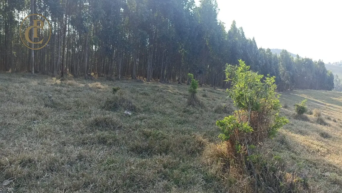 Sítio / Rancho com 1 quarto à venda, 180m2 em Paraibuna - SP - imagem 5 Foto 5 de Sítio / Rancho com 1 quarto à venda, 180m2 em Paraibuna - SP