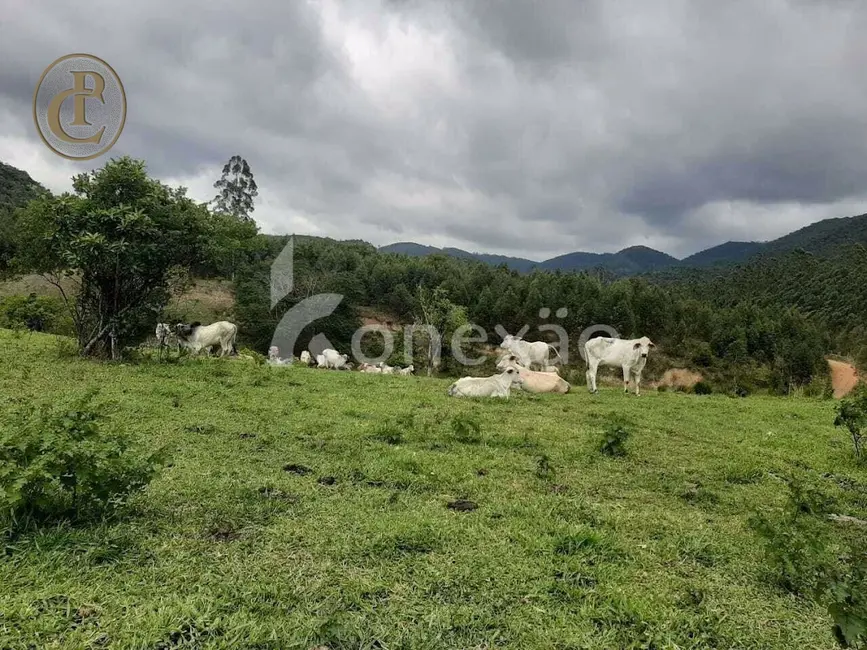 Fazenda / Haras com 1 quarto à venda, 300m2 em Paraibuna - SP - imagem 8 Foto 8 de Fazenda / Haras com 1 quarto à venda, 300m2 em Paraibuna - SP
