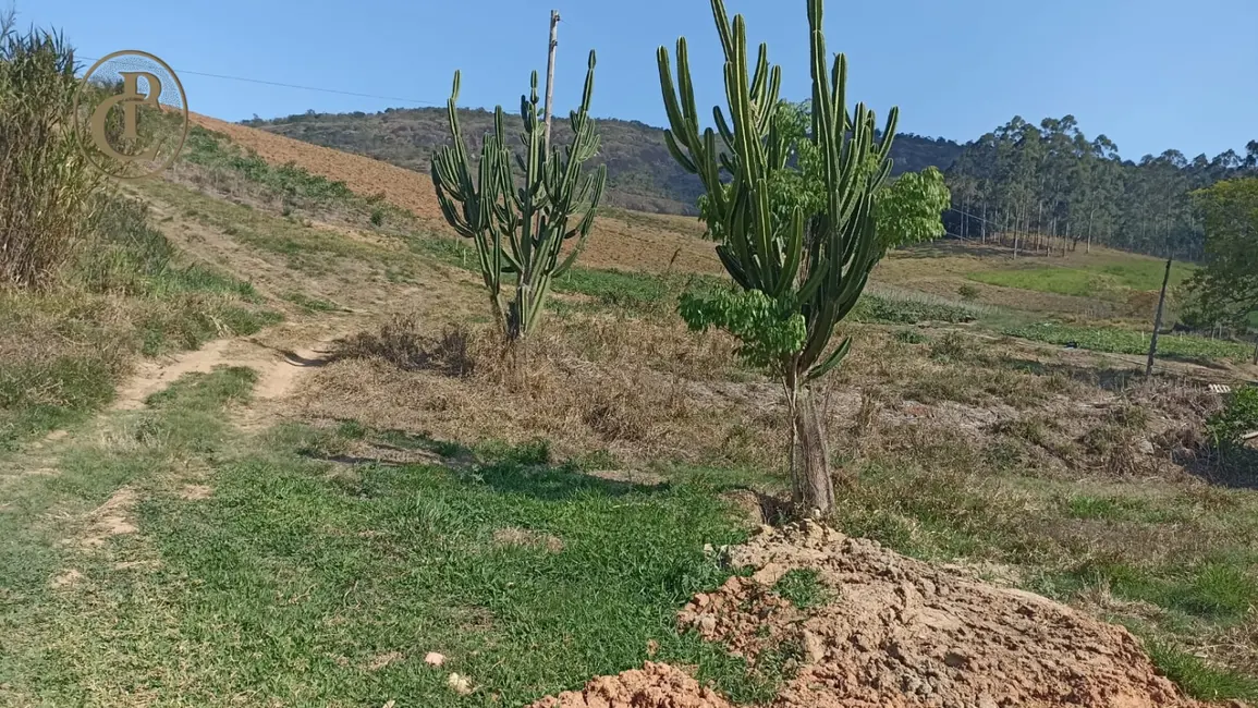 Sítio / Rancho com 3 quartos à venda, 300m2 em Paraibuna - SP - imagem 9 Foto 9 de Sítio / Rancho com 3 quartos à venda, 300m2 em Paraibuna - SP