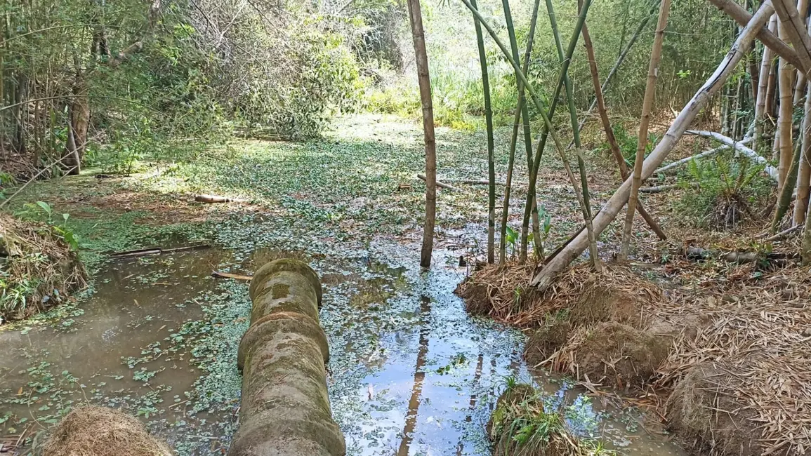 Sítio / Rancho com 1 quarto à venda, 10m2 em Paraibuna - SP - imagem 4 Foto 4 de Sítio / Rancho com 1 quarto à venda, 10m2 em Paraibuna - SP