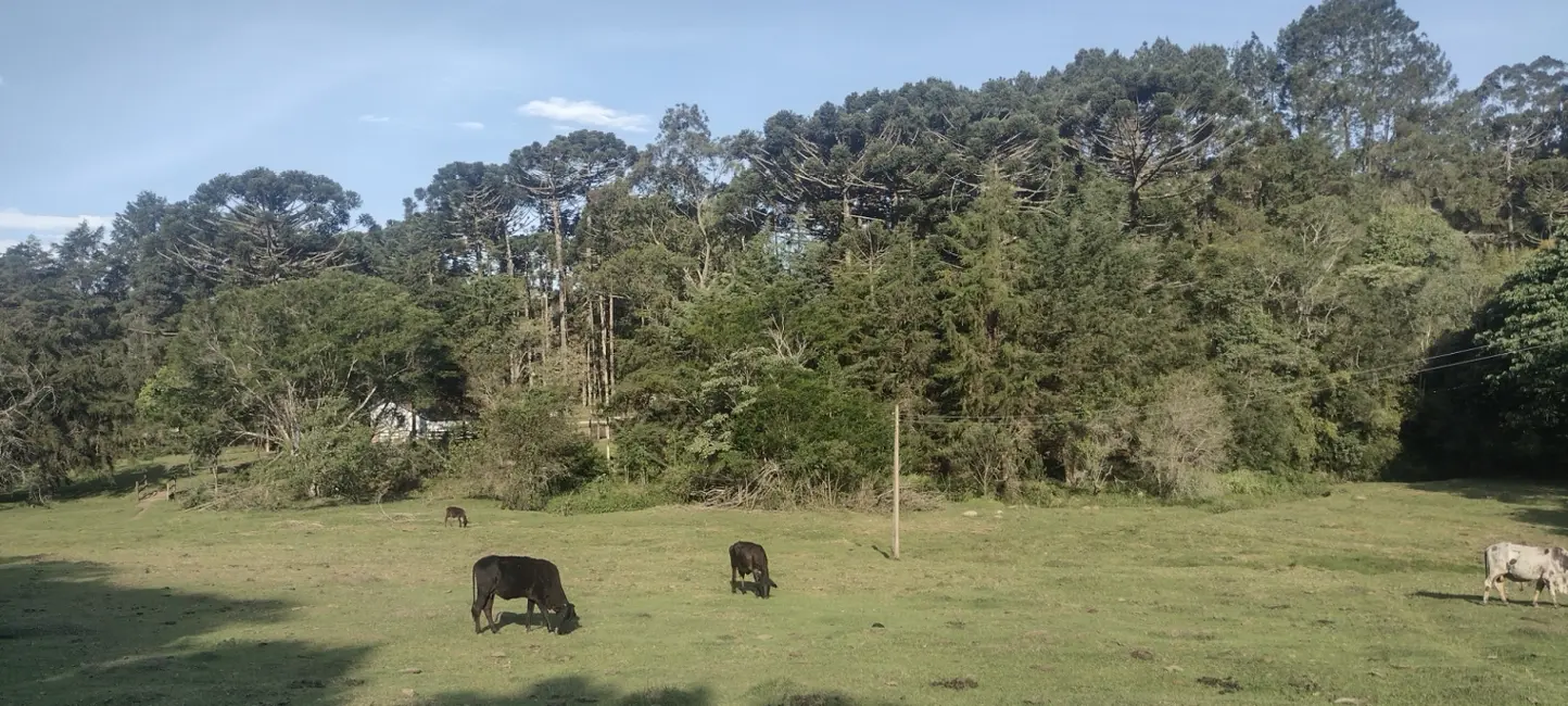 Foto 8 de Sítio / Rancho com 4 quartos à venda em Cunha - SP