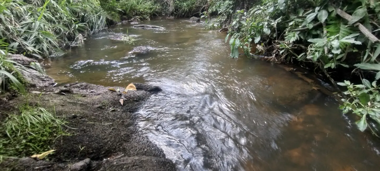 Foto 4 de Sítio / Rancho com 4 quartos à venda em Cunha - SP