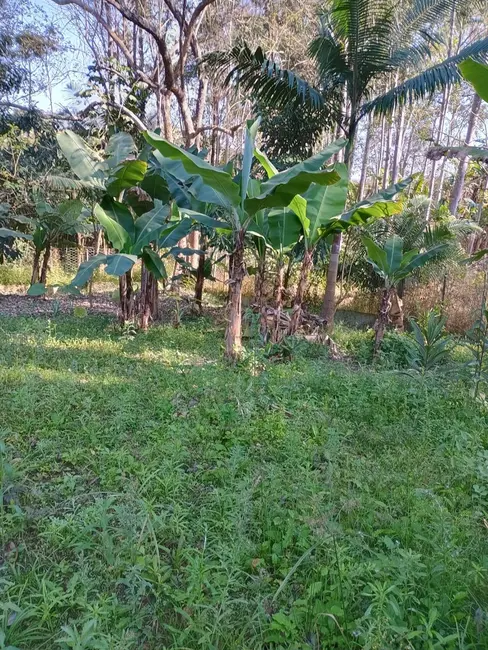 Chácara com 3 quartos à venda, 300m2 em Paraibuna - SP - imagem 3 Foto 3 de Chácara com 3 quartos à venda, 300m2 em Paraibuna - SP