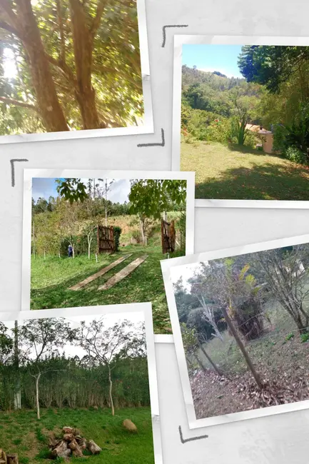 Chácara com 3 quartos à venda, 200m2 em Paraibuna - SP - imagem 7 Foto 7 de Chácara com 3 quartos à venda, 200m2 em Paraibuna - SP