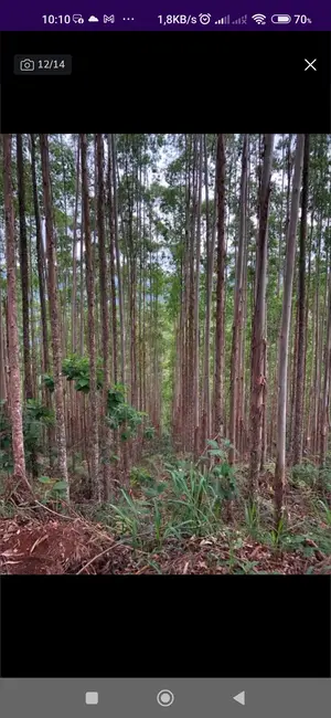 Foto 5 de Sítio / Rancho com 1 quarto à venda, 202554m2 em Sao Jose Dos Campos - SP