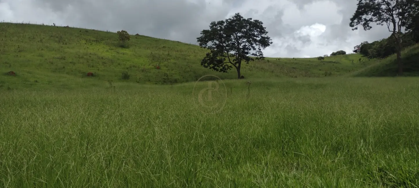 Foto 4 de Sítio / Rancho com 3 quartos à venda, 120m2 em Centro, Guaratingueta - SP