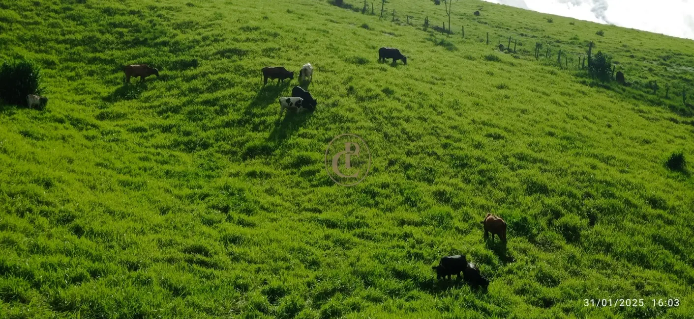 Foto 2 de Chácara com 4 quartos à venda, 13m2 em Sao Jose Dos Campos - SP