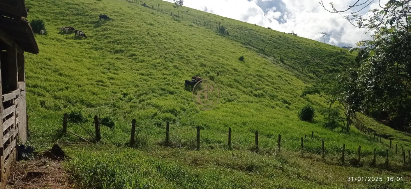Foto 3 de Chácara com 4 quartos à venda, 13m2 em Sao Jose Dos Campos - SP