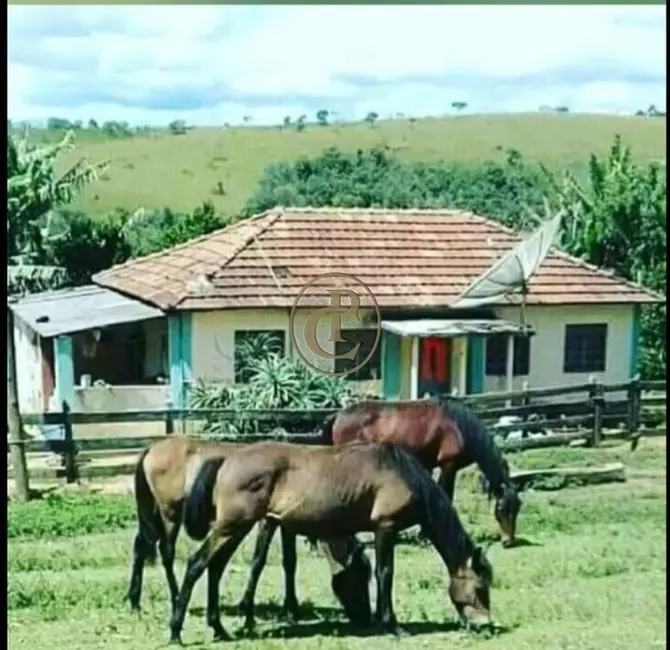 Fazenda / Haras com 3 quartos à venda, 100m2 em Centro, Bom Jardim De Minas - MG - imagem 1 Foto 1 de Fazenda / Haras com 3 quartos à venda, 100m2 em Centro, Bom Jardim De Minas - MG