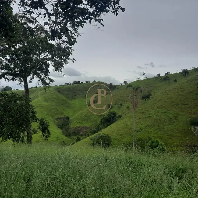 Sítio / Rancho com 5 quartos à venda, 300m2 em Paraibuna - SP - imagem 3 Foto 3 de Sítio / Rancho com 5 quartos à venda, 300m2 em Paraibuna - SP
