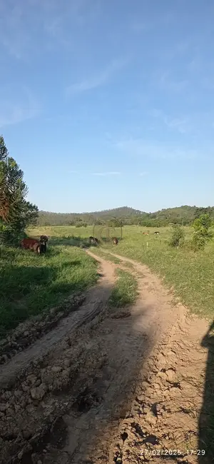 Fazenda / Haras com 4 quartos à venda, 260m2 em Sao Jose Dos Campos - SP - imagem 9 Foto 9 de Fazenda / Haras com 4 quartos à venda, 260m2 em Sao Jose Dos Campos - SP
