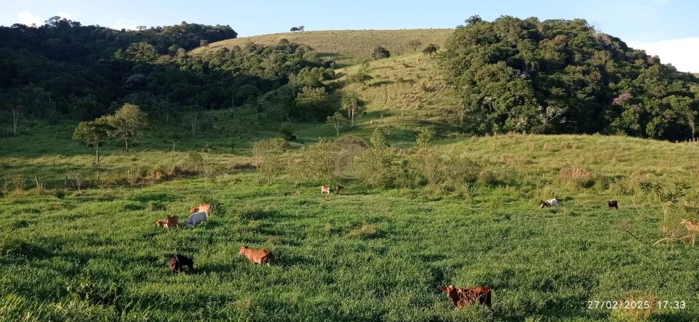 Fazenda / Haras com 4 quartos à venda, 260m2 em Sao Jose Dos Campos - SP - imagem 7 Foto 7 de Fazenda / Haras com 4 quartos à venda, 260m2 em Sao Jose Dos Campos - SP
