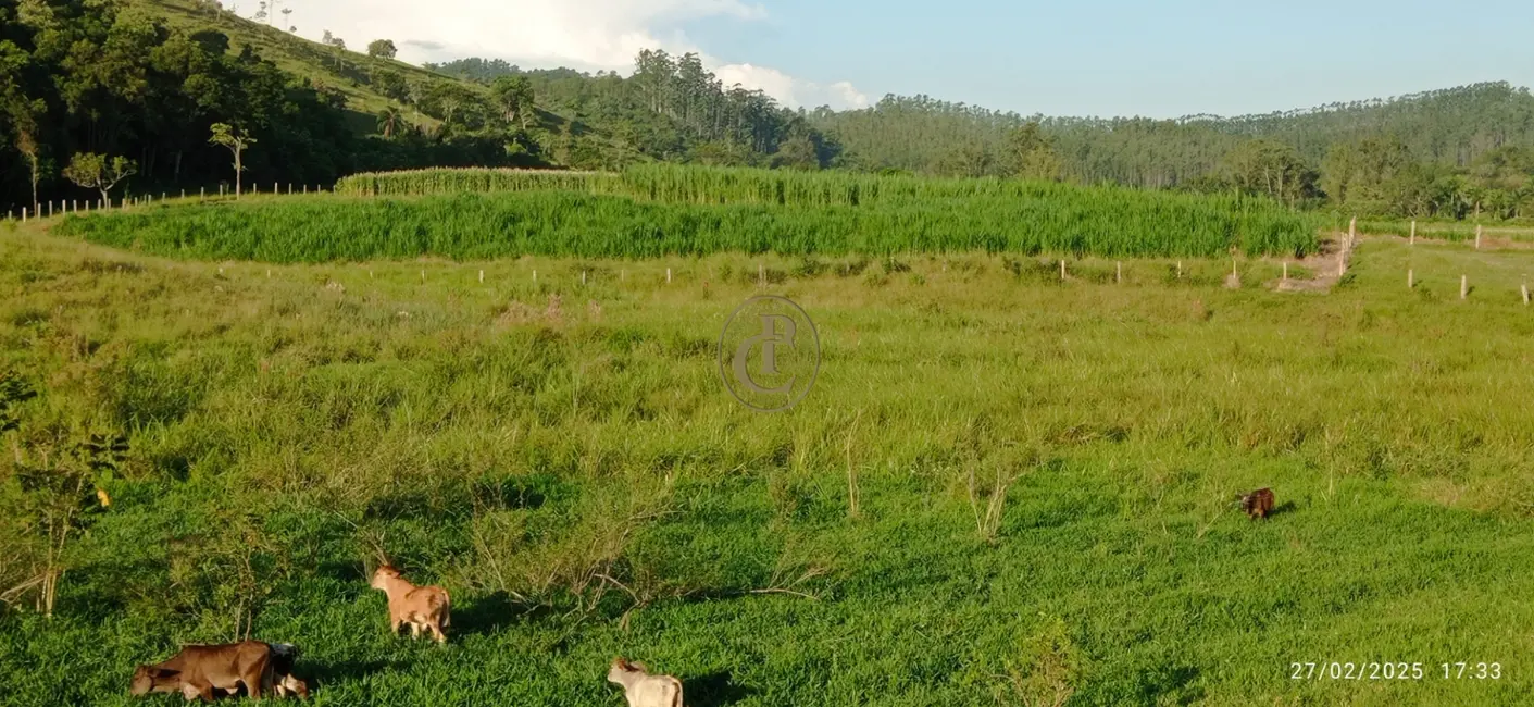 Fazenda / Haras com 4 quartos à venda, 260m2 em Sao Jose Dos Campos - SP - imagem 8 Foto 8 de Fazenda / Haras com 4 quartos à venda, 260m2 em Sao Jose Dos Campos - SP