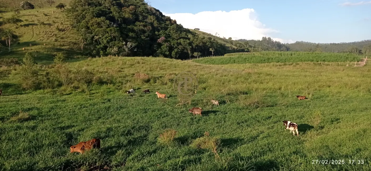 Fazenda / Haras com 4 quartos à venda, 260m2 em Sao Jose Dos Campos - SP - imagem 6 Foto 6 de Fazenda / Haras com 4 quartos à venda, 260m2 em Sao Jose Dos Campos - SP