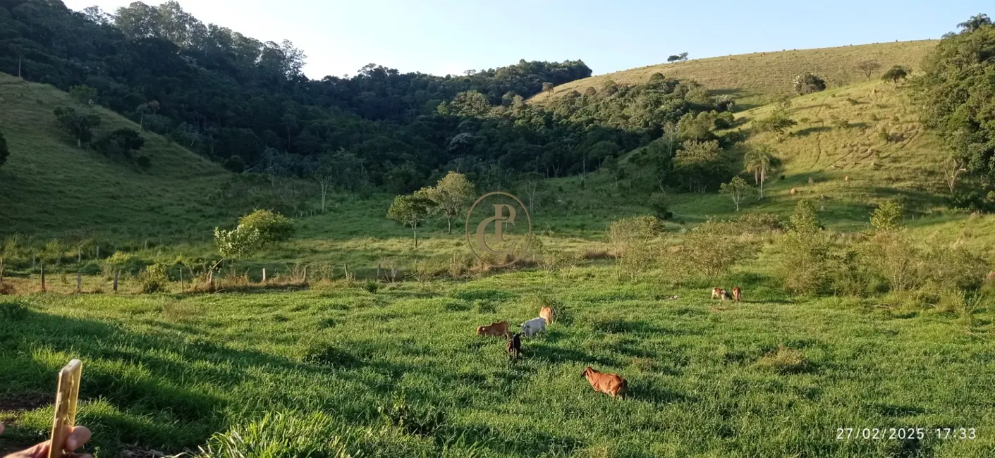 Fazenda / Haras com 4 quartos à venda, 260m2 em Sao Jose Dos Campos - SP - imagem 5 Foto 5 de Fazenda / Haras com 4 quartos à venda, 260m2 em Sao Jose Dos Campos - SP