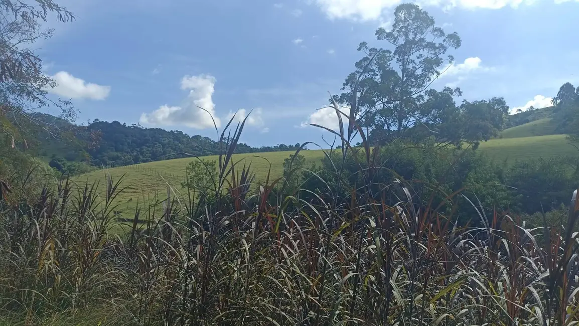 Sítio / Rancho com 2 quartos à venda, 300m2 em Paraibuna - SP - imagem 3 Foto 3 de Sítio / Rancho com 2 quartos à venda, 300m2 em Paraibuna - SP