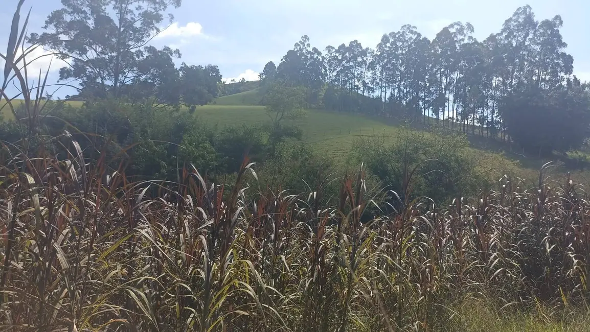Sítio / Rancho com 2 quartos à venda, 300m2 em Paraibuna - SP - imagem 4 Foto 4 de Sítio / Rancho com 2 quartos à venda, 300m2 em Paraibuna - SP