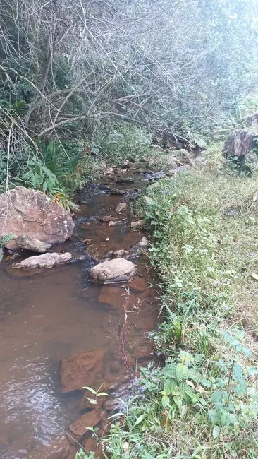 Foto 8 de Sítio / Rancho com 2 quartos à venda, 96000m2 em Jambeiro - SP