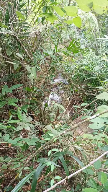 Foto 2 de Sítio / Rancho com 2 quartos à venda, 96000m2 em Jambeiro - SP