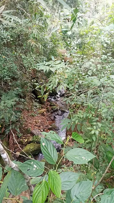 Foto 3 de Sítio / Rancho com 2 quartos à venda, 96000m2 em Jambeiro - SP