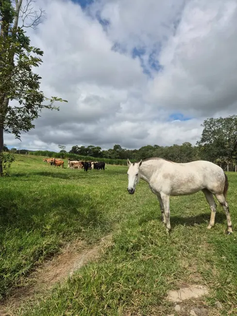 Foto 8 de Sítio / Rancho com 3 quartos à venda, 200m2 em Vila Santos, Cacapava - SP