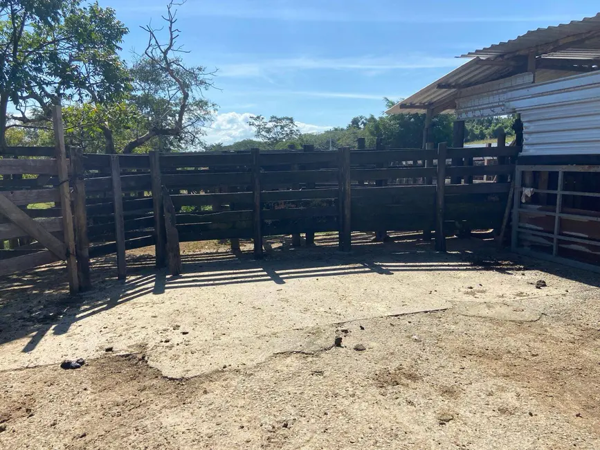 Foto 5 de Sítio / Rancho com 3 quartos à venda, 200m2 em Vila Santos, Cacapava - SP