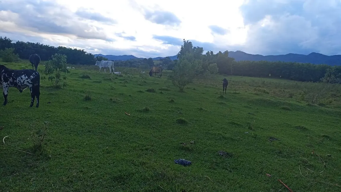 Foto 3 de Fazenda / Haras com 2 quartos à venda, 100m2 em Estiva, Taubate - SP