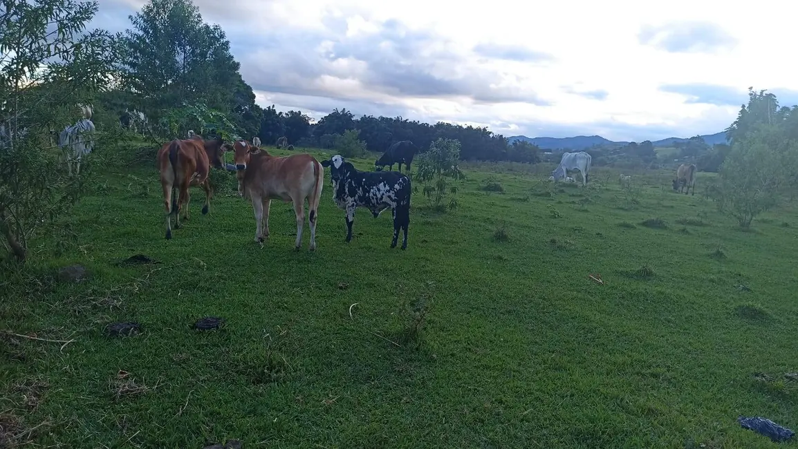 Foto 2 de Fazenda / Haras com 2 quartos à venda, 100m2 em Estiva, Taubate - SP