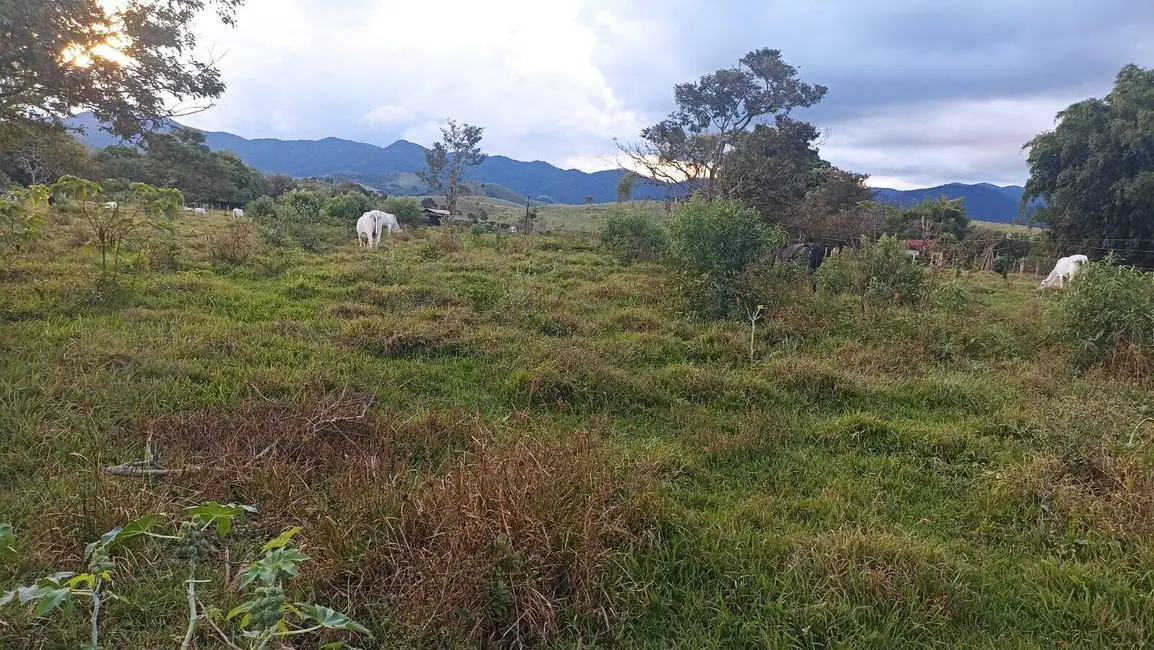 Foto 7 de Fazenda / Haras com 2 quartos à venda, 100m2 em Estiva, Taubate - SP