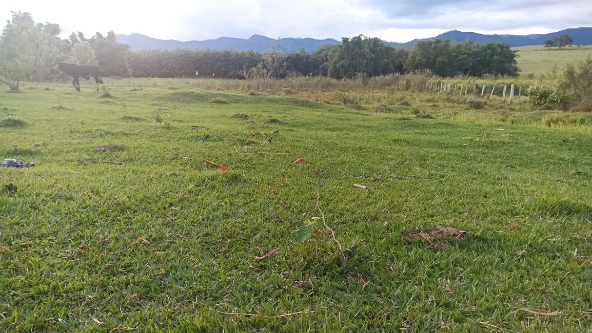 Foto 6 de Fazenda / Haras com 2 quartos à venda, 100m2 em Estiva, Taubate - SP