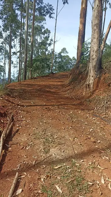 Chácara com 2 quartos à venda, 100m2 em Sao Jose Dos Campos - SP - imagem 8 Foto 8 de Chácara com 2 quartos à venda, 100m2 em Sao Jose Dos Campos - SP