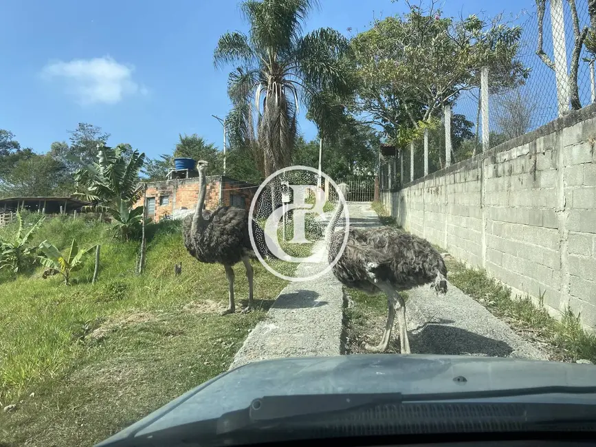 Chácara com 3 quartos à venda e para alugar, 24000m2 em Piedade, Cacapava - SP - imagem 8 Foto 8 de Chácara com 3 quartos à venda e para alugar, 24000m2 em Piedade, Cacapava - SP