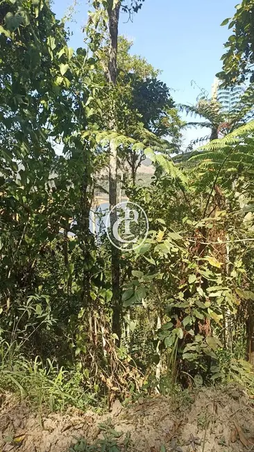 Chácara com 1 quarto à venda, 18000m2 em Paraibuna - SP - imagem 3 Foto 3 de Chácara com 1 quarto à venda, 18000m2 em Paraibuna - SP