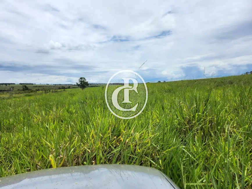 Foto 4 de Fazenda / Haras com 3 quartos à venda, 300m2 em Centro, Campo Grande - MS