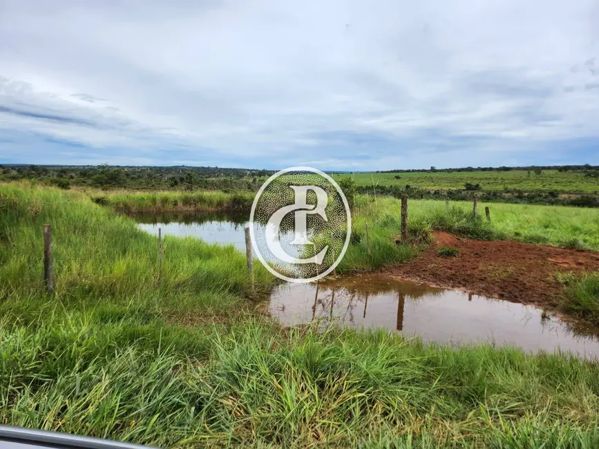 Foto 8 de Fazenda / Haras com 3 quartos à venda, 300m2 em Centro, Campo Grande - MS
