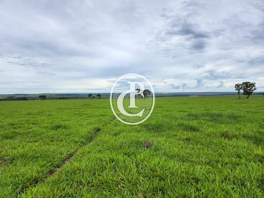 Foto 9 de Fazenda / Haras com 3 quartos à venda, 300m2 em Centro, Campo Grande - MS