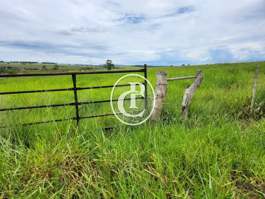 Foto 2 de Fazenda / Haras com 3 quartos à venda, 300m2 em Centro, Campo Grande - MS