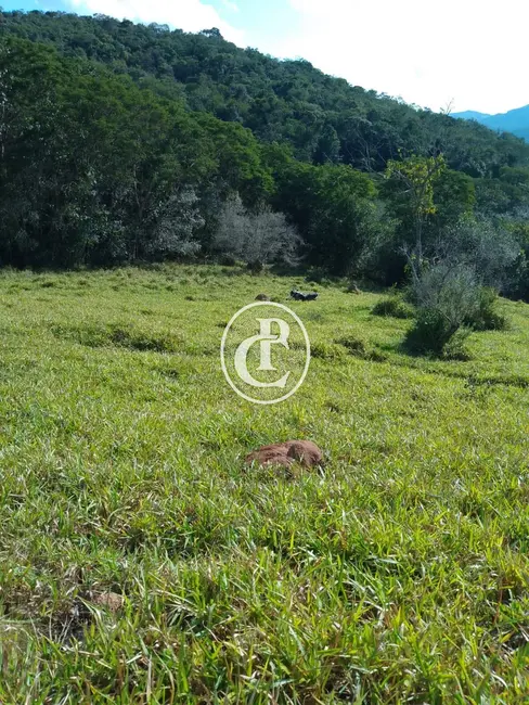 Sítio / Rancho com 1 quarto à venda, 15m2 em Centro, Paraibuna - SP - imagem 8 Foto 8 de Sítio / Rancho com 1 quarto à venda, 15m2 em Centro, Paraibuna - SP