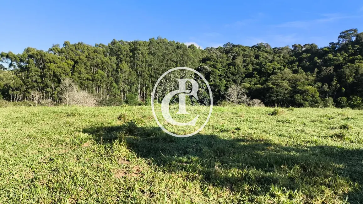 Sítio / Rancho com 3 quartos à venda, 200m2 em Paraibuna - SP - imagem 5 Foto 5 de Sítio / Rancho com 3 quartos à venda, 200m2 em Paraibuna - SP