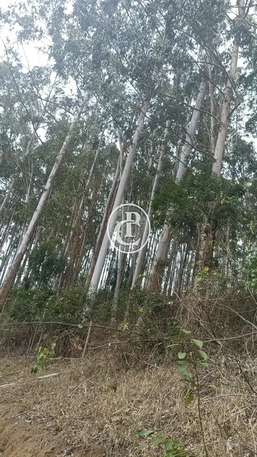 Sítio / Rancho com 3 quartos à venda, 200m2 em Paraibuna - SP - imagem 8 Foto 8 de Sítio / Rancho com 3 quartos à venda, 200m2 em Paraibuna - SP