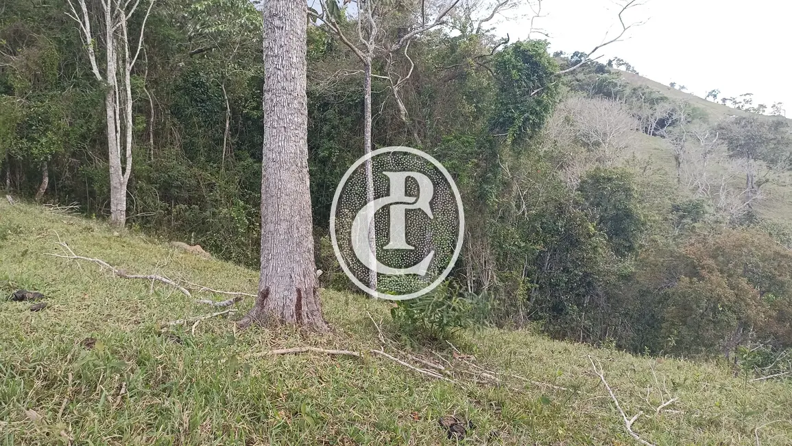 Foto 16 de Chácara à venda em Paraibuna - SP