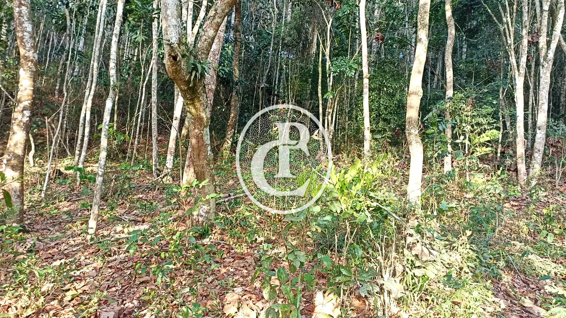 Chácara à venda em Paraibuna - SP - imagem 4 Foto 4 de Chácara à venda em Paraibuna - SP