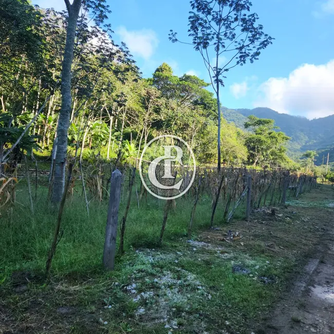 Foto 9 de Sítio / Rancho com 3 quartos à venda, 180m2 em Estiva, Taubate - SP