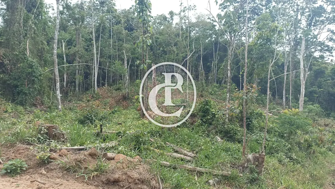 Foto 3 de Chácara à venda, 20000m2 em Paraibuna - SP