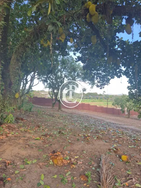 Foto 8 de Sítio / Rancho com 3 quartos à venda, 169400m2 em Vila Antônio Augusto Luiz, Cacapava - SP